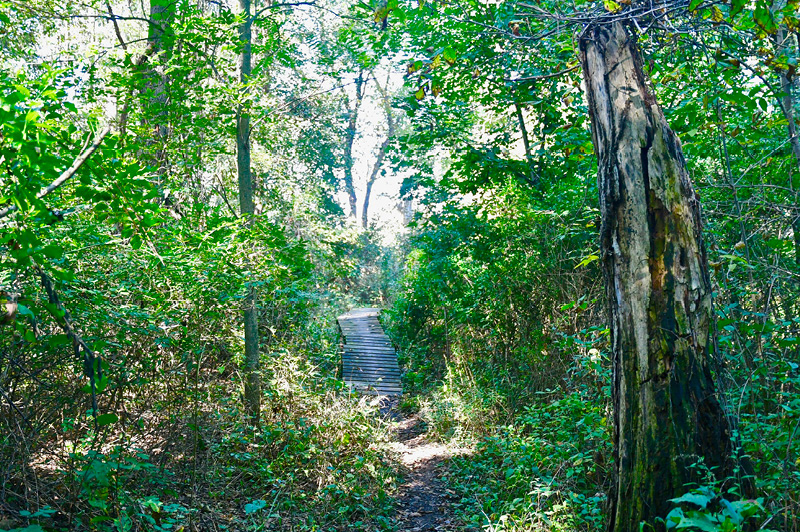The DUMP Mountain Biking Trail